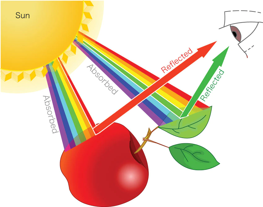 Sun vision diagram